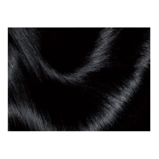 Tintura Permanente en Kit Excellence 1 Negro - Imagen 5
