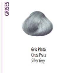 Alternative view of Jalea Colorante Bonmetique 1+2 Gris Plata X 50 Gr