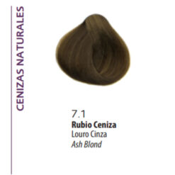 Alternative view of Jalea Colorante Bonmetique 1+2 71 X 50 Gr