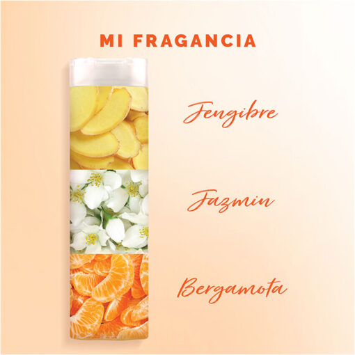 Acondicionador Sedal  Jengibre y Ricino X 190 Ml - Imagen 4