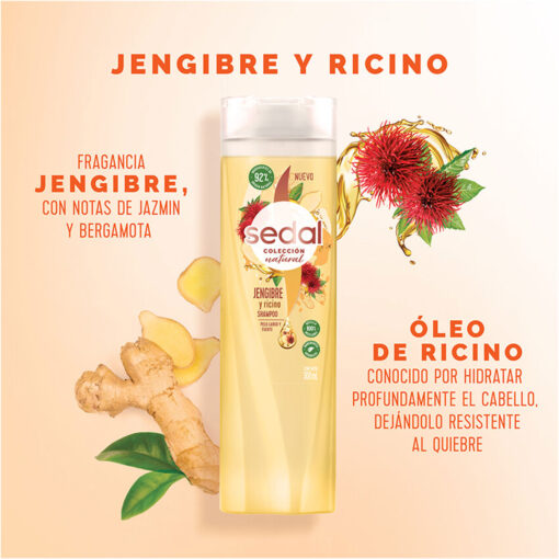 Acondicionador Sedal  Jengibre y Ricino X 190 Ml - Imagen 5