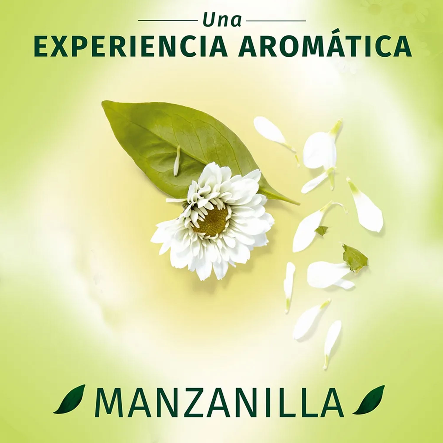 Acondicionador Herbal Essences Bio Renew Chamomile X 400 Ml - Imagen 2