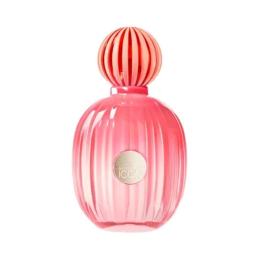 Perfume Antonio Banderas The Icon Splendid X 100 Ml