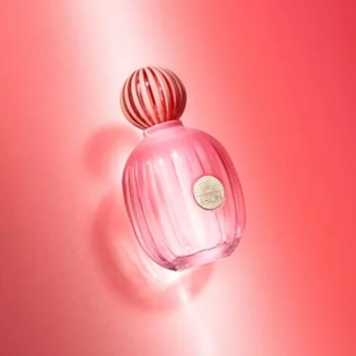 Perfume Antonio Banderas The Icon Splendid X 100 Ml - Imagen 5
