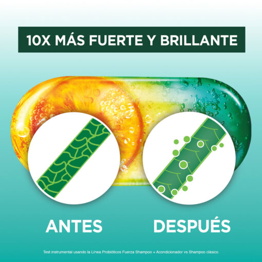 Acondicionador Garnier Fructis Probióticos Fuerza X 200 Ml - Imagen 4