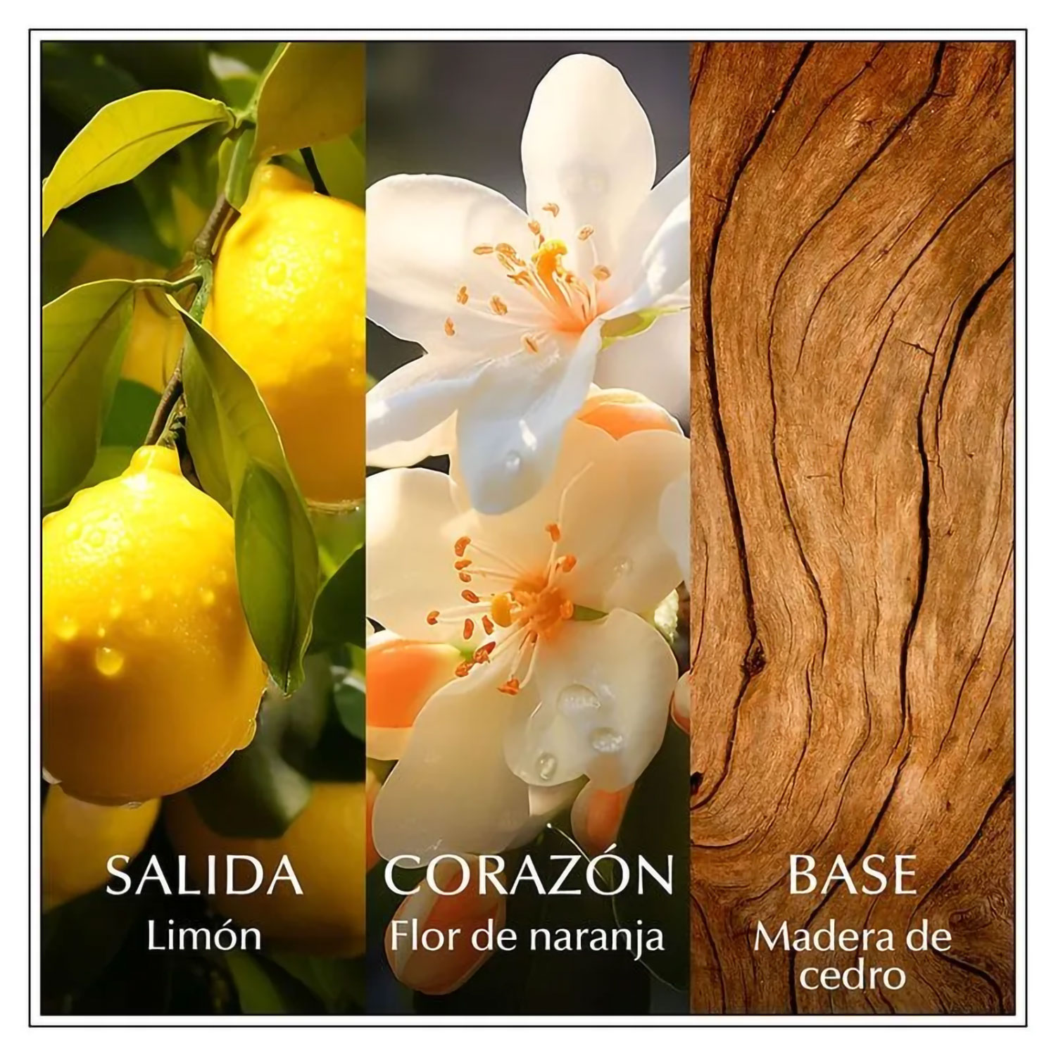 Perfume Chanson Lemon X 100 Ml - Imagen 4