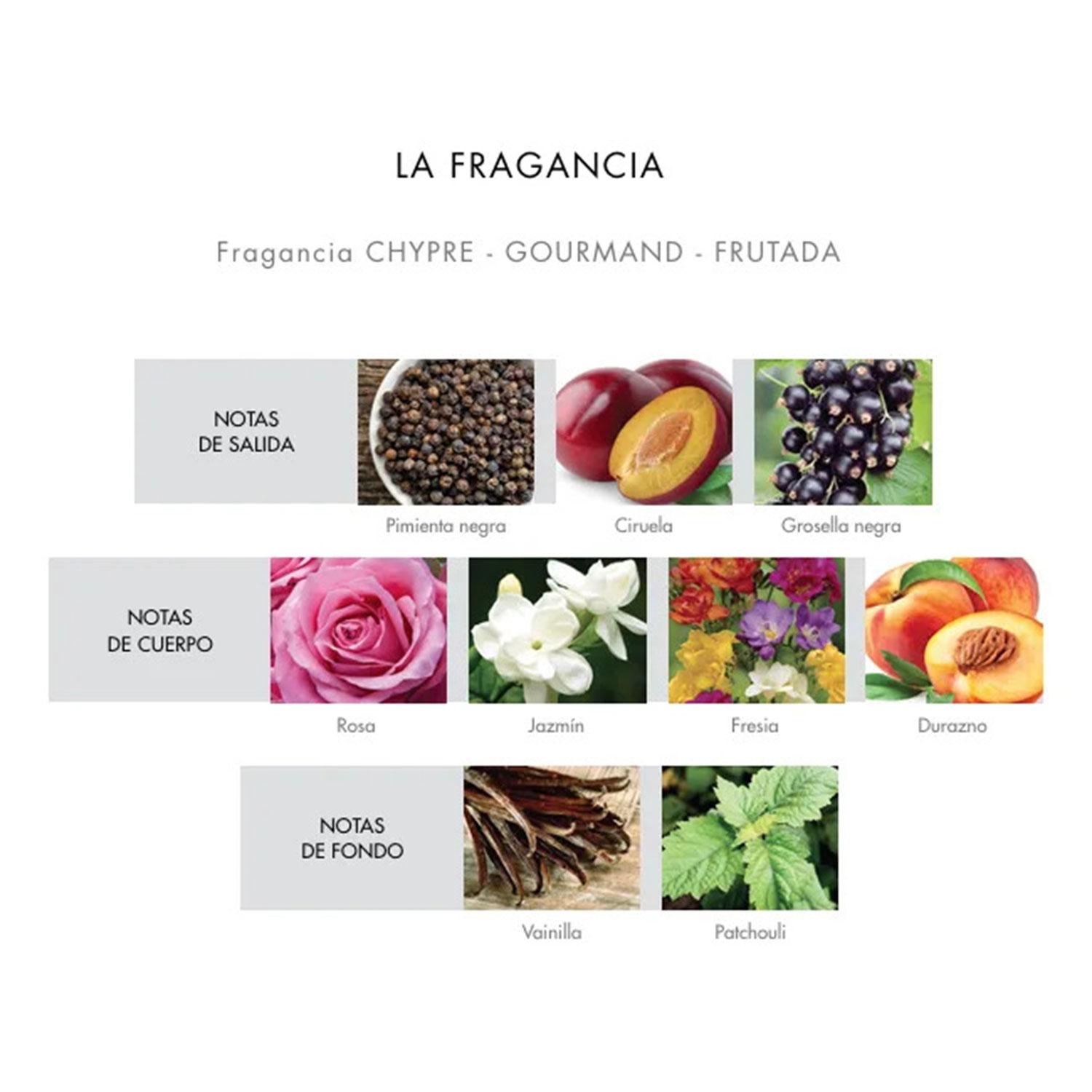 Perfume Paloma Herrera Intense X 60 Ml - Imagen 3